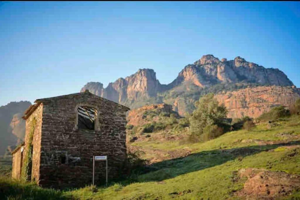 Villa Alisa Avec Piscine Privee Roquebrune-sur Argens Kültér fotó