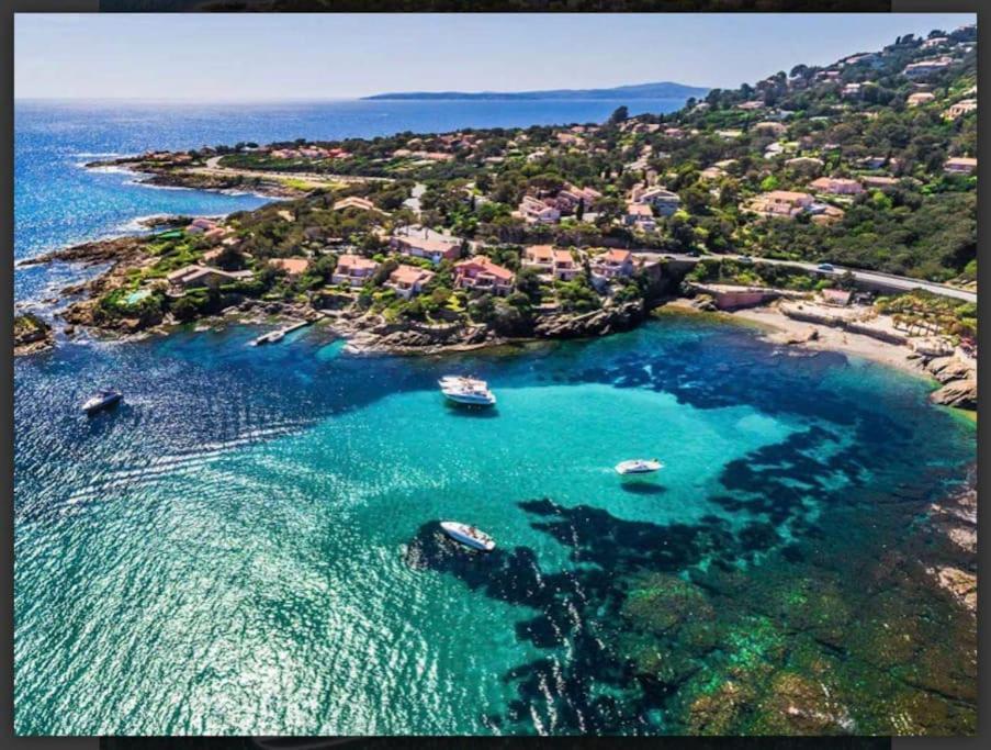 Villa Alisa Avec Piscine Privee Roquebrune-sur Argens Kültér fotó